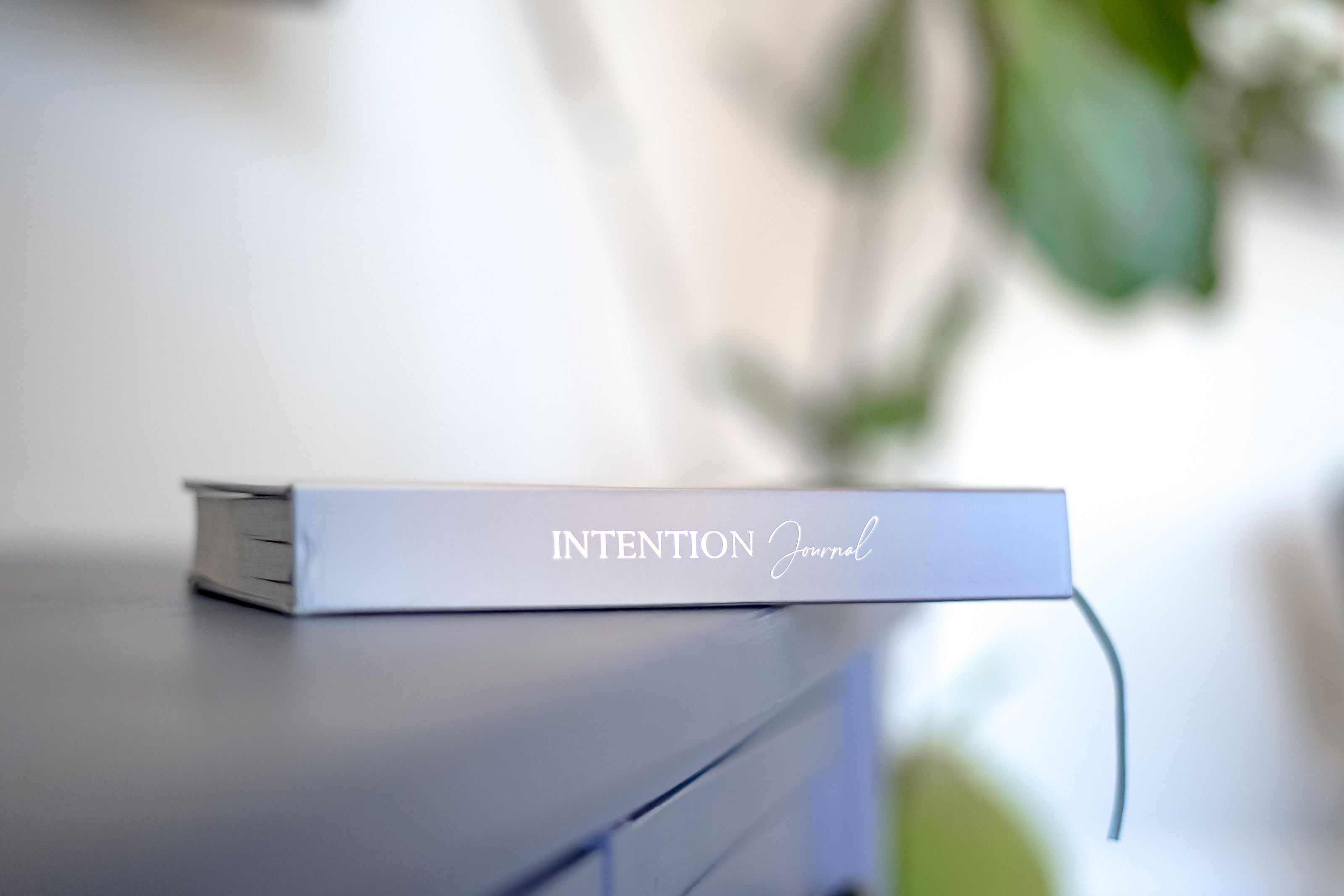 Side view of the 365 intention journal